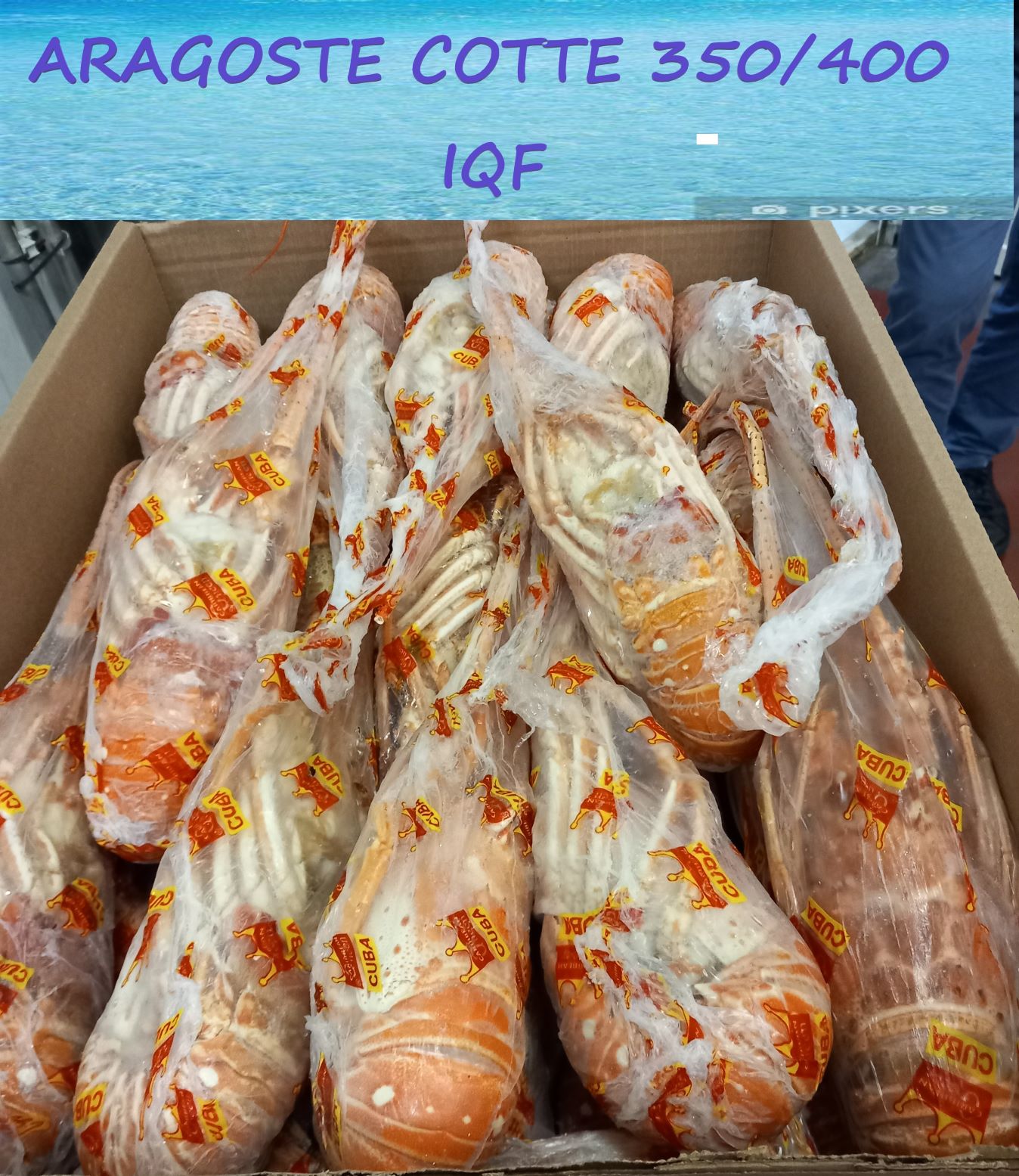 ARAGOSTECOTTE350400S