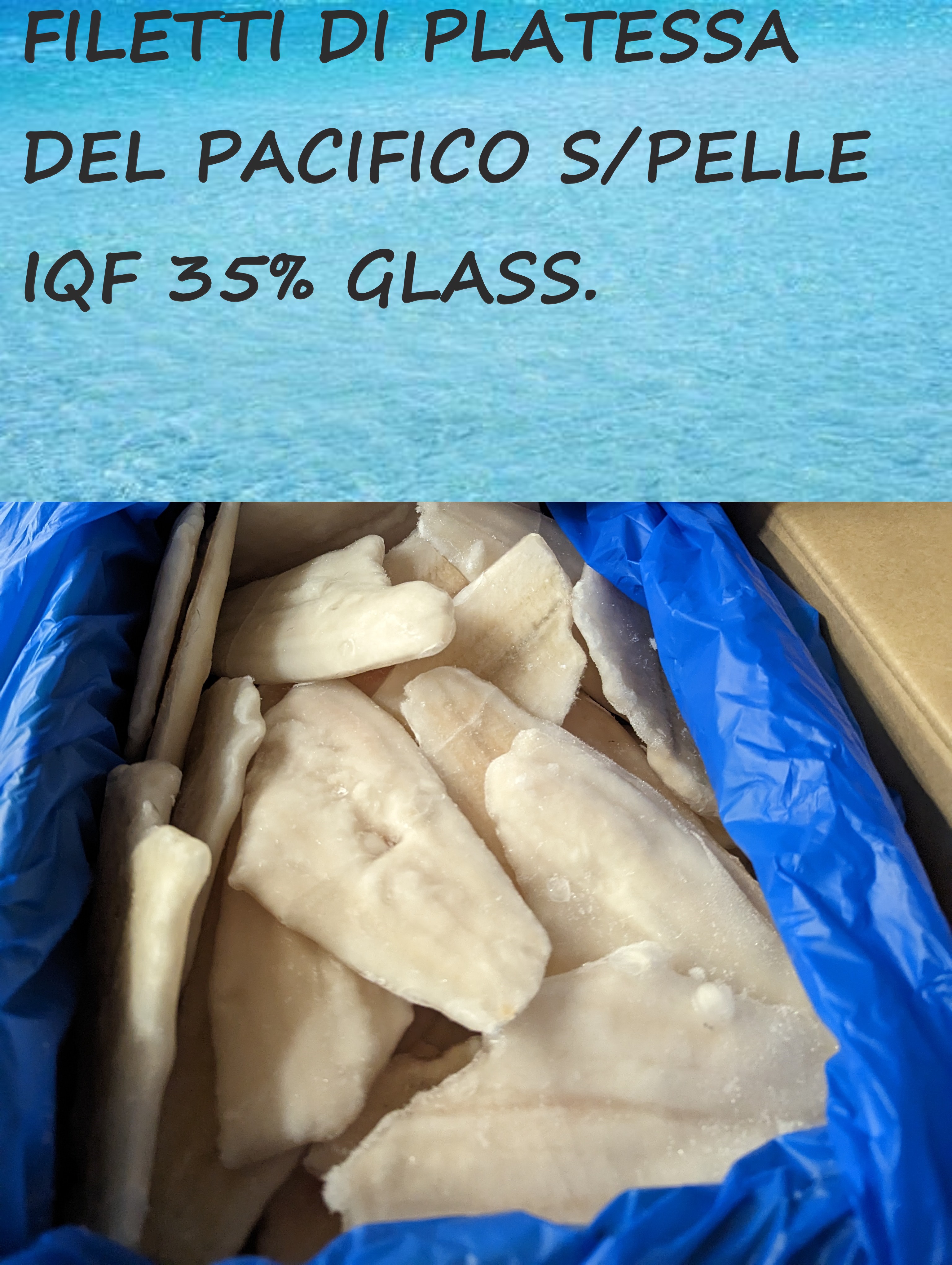 FILETTIDIPLATESSADELPACIFICOSP35GL