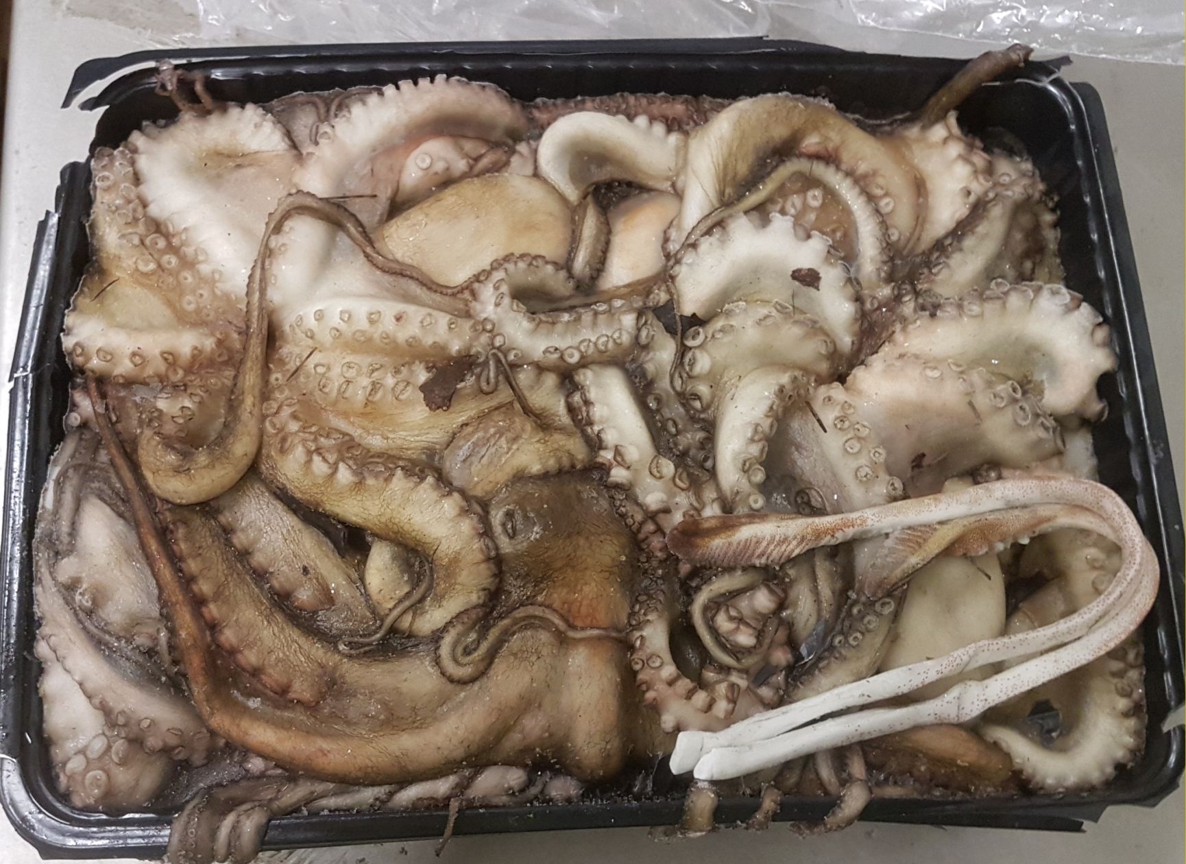 POLPOSPORCOVASCHETTATUNISIA