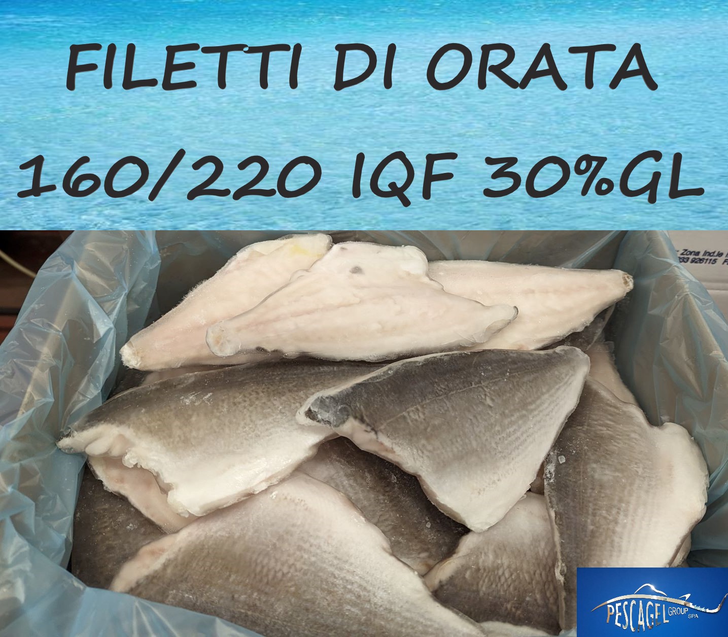 PXL 20230303 110351395