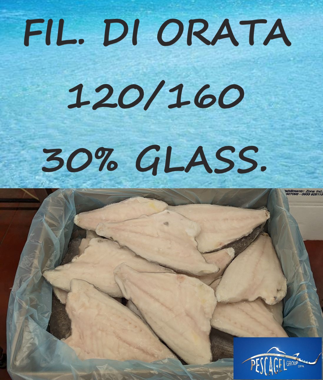 PXL 20230303 110409526