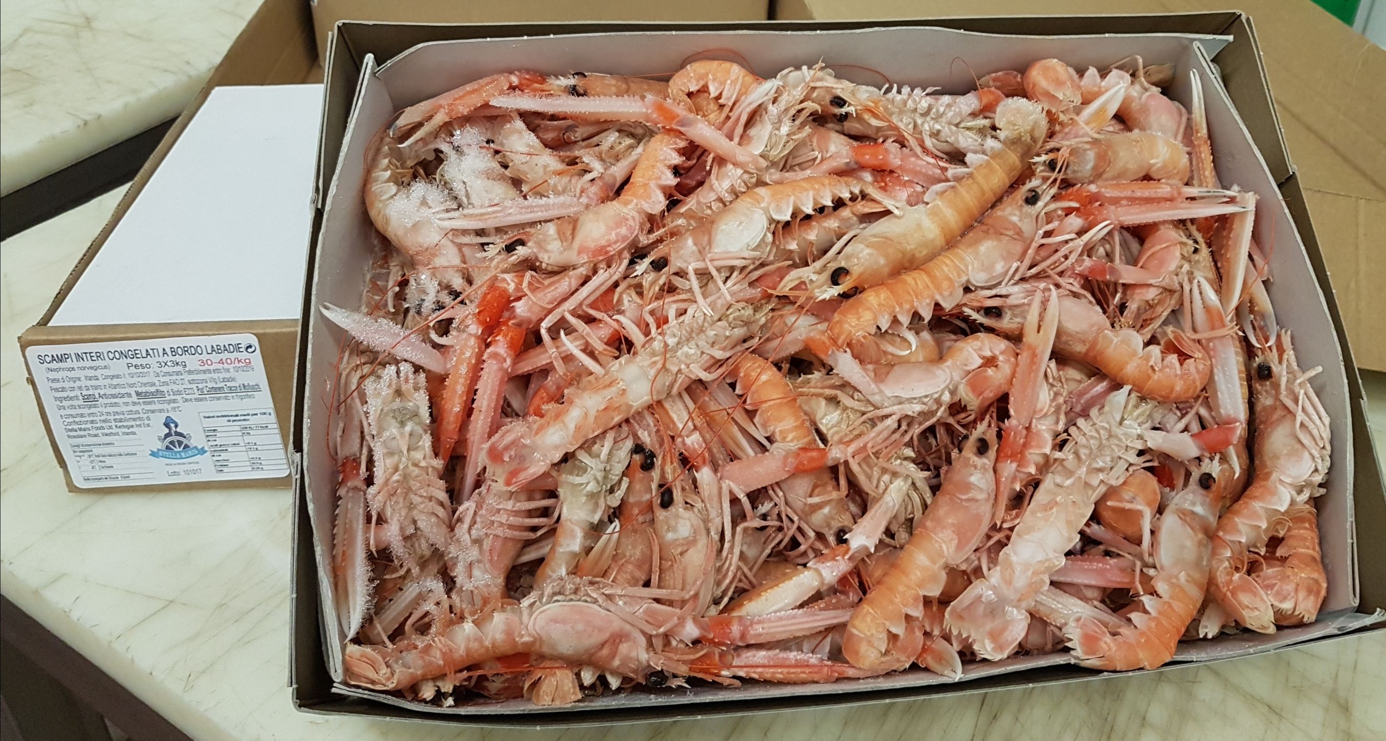 SCAMPI30403