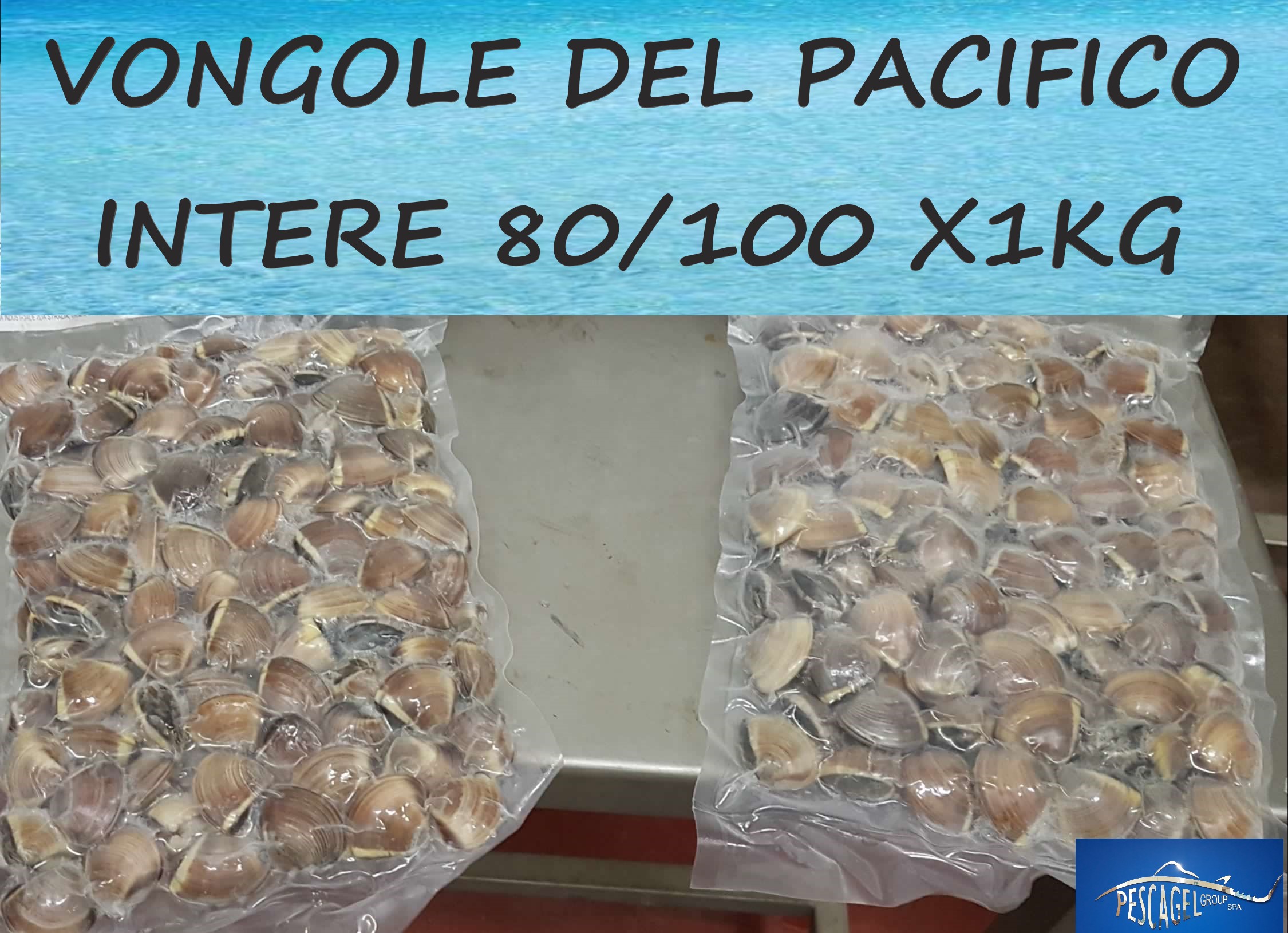 VONGOLE80100MARRONI